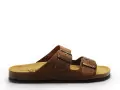 Plakton BARNA 175857 Marron Mules Homme
