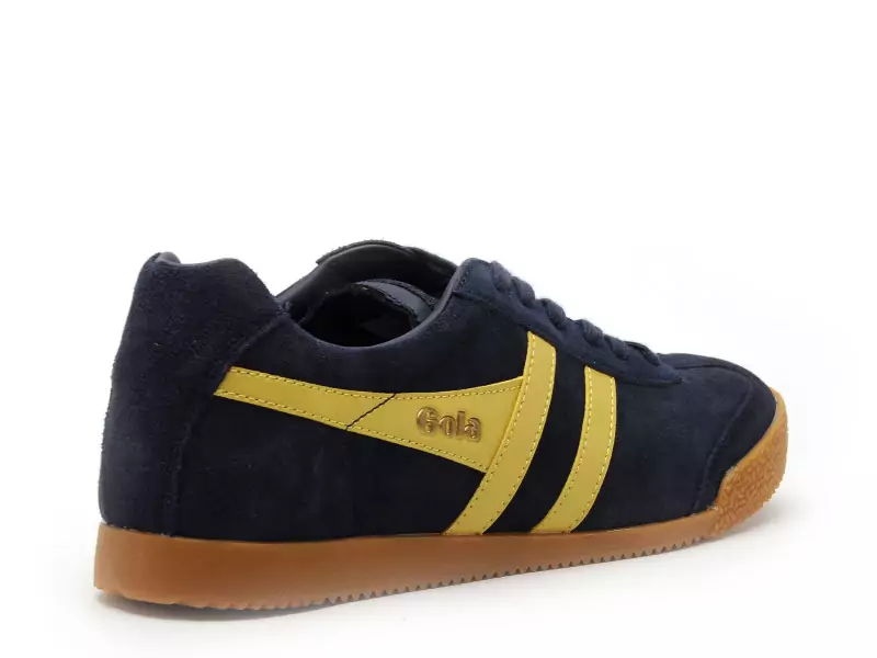 Gola Baskets HARRIER CMA192 Bleu Baskets Basses Homme