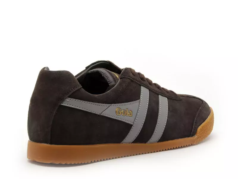 Gola Baskets HARRIER CMA192 Marron Baskets Basses Homme