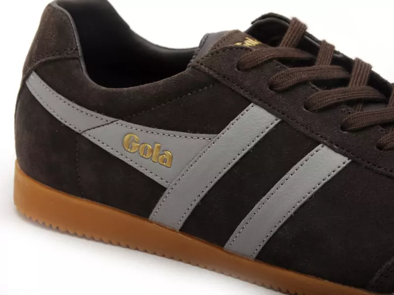 Gola Baskets HARRIER CMA192 Marron Baskets Basses Homme