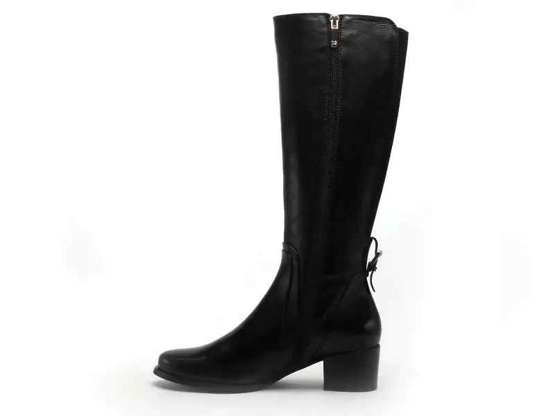 Regarde Le Ciel Botte JOLENE 22 Noir Bottes à Talons Femme