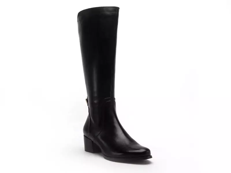 Regarde Le Ciel Botte JOLENE 22 Noir Bottes à Talons Femme