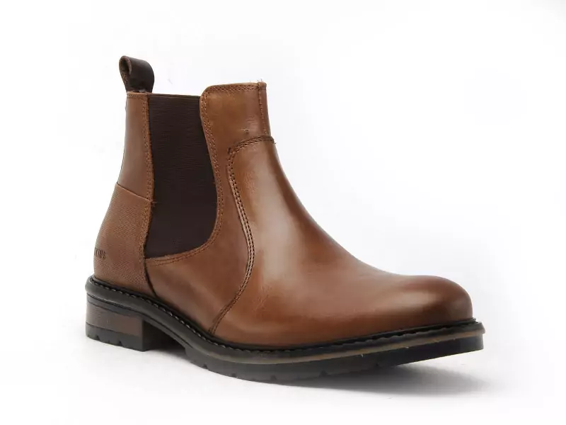 Redskins ELSTER Marron Boots et Bottines Homme