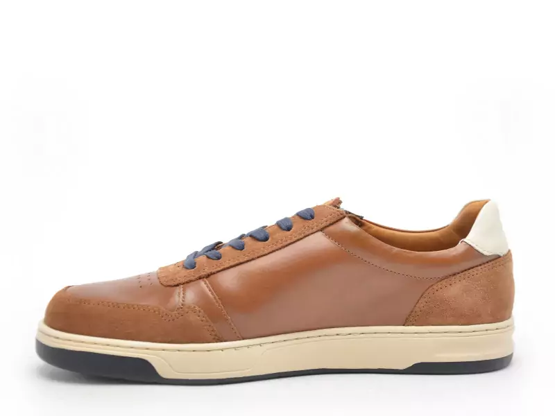 Tbs THEOZIP Marron Baskets Basses Homme