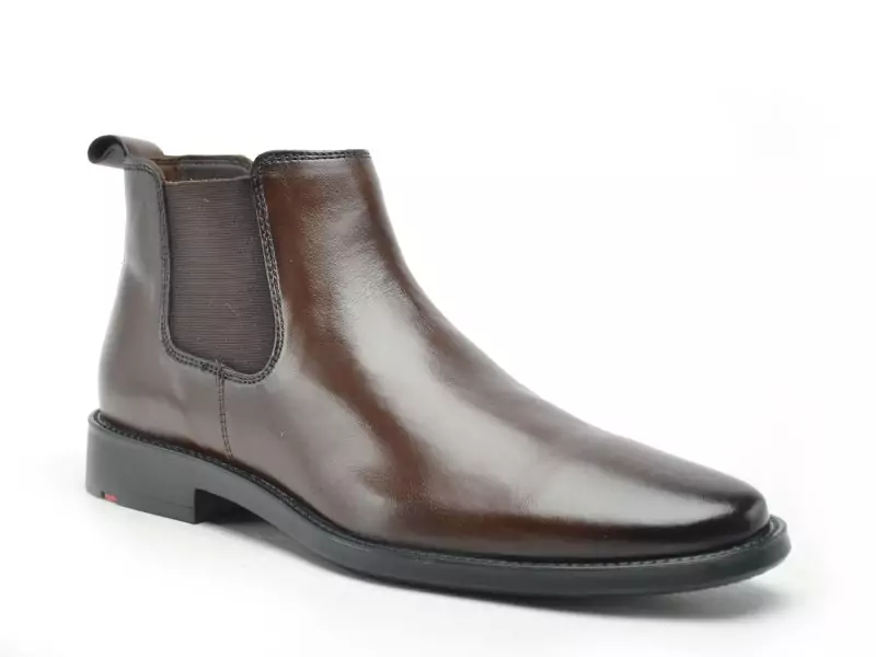 Lloyd 25514 Marron Boots et Bottines Homme