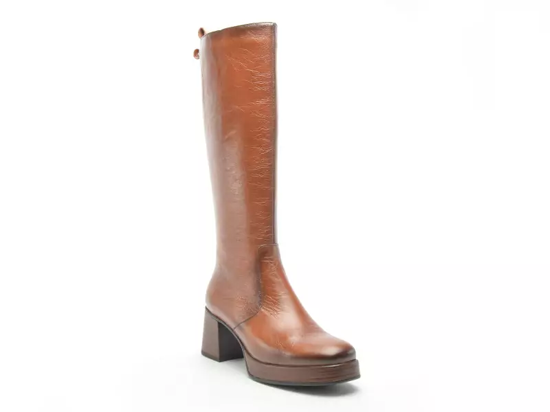 Dorking D9339AL Marron Bottes à Talons Femme