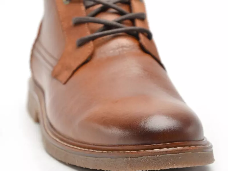 Cotemer URGOLIS Marron Boots et Bottines Homme