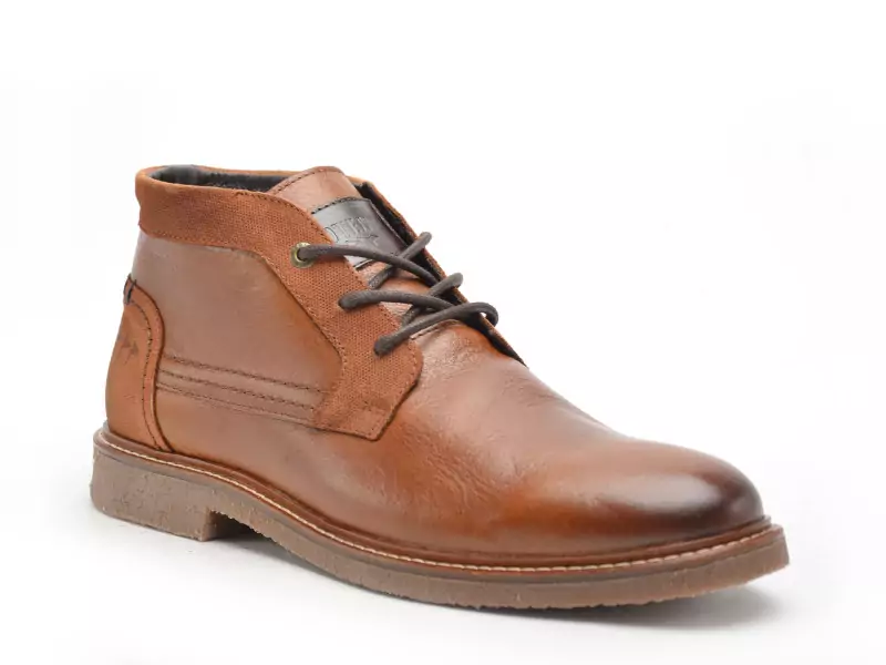 Cotemer URGOLIS Marron Boots et Bottines Homme