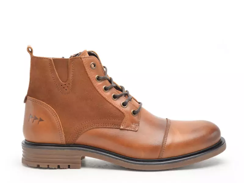 Cotemer CAPEIS Marron Boots et Bottines Homme
