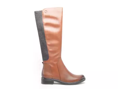 25513 41 Marron