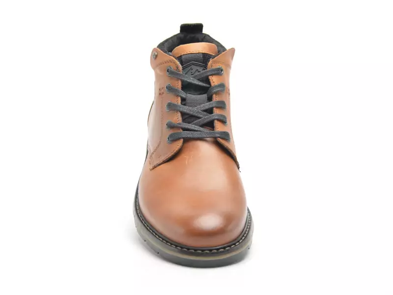 Redskins EQUILIBRE Marron Boots et Bottines Homme