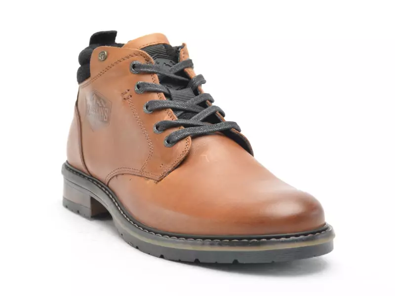 Redskins EQUILIBRE Marron Boots et Bottines Homme