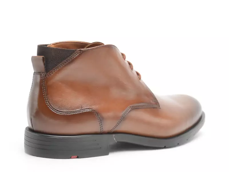 Lloyd 25525 03 Marron Boots et Bottines Homme