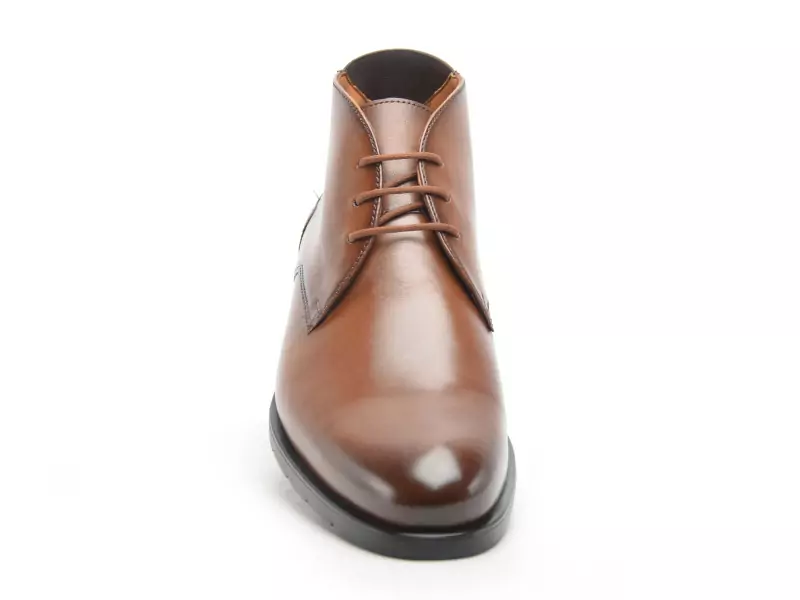 Lloyd 25525 03 Marron Boots et Bottines Homme