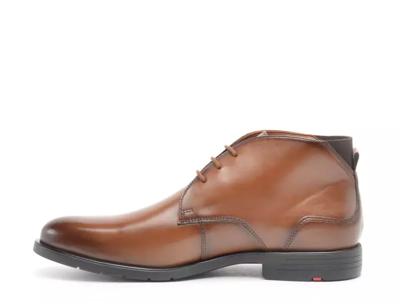 Lloyd 25525 03 Marron Boots et Bottines Homme