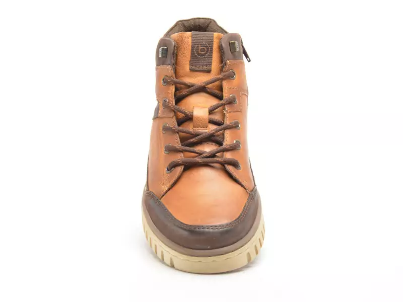 Bugatti WARNE 321 ATG33 Marron Boots et Bottines Homme