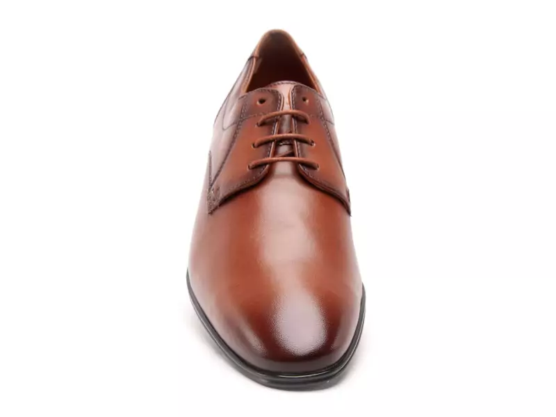 Lloyd CORE 111 Marron Chaussures de Ville Homme