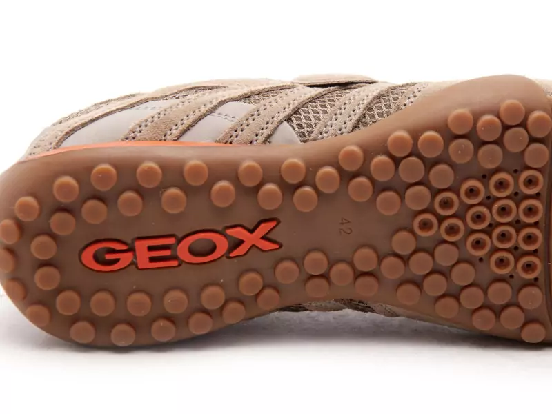 Geox U SNAKE ORIGINAL U55MNA Beige Baskets Basses Homme