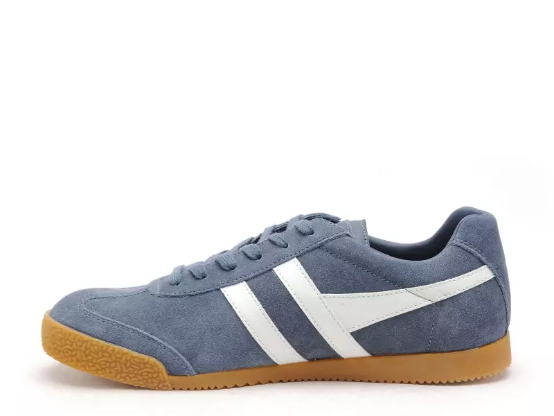 Gola HARRIER Bleu Baskets Basses Homme