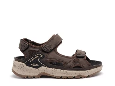 H004 P2008649 HONDURAS Marron Homme