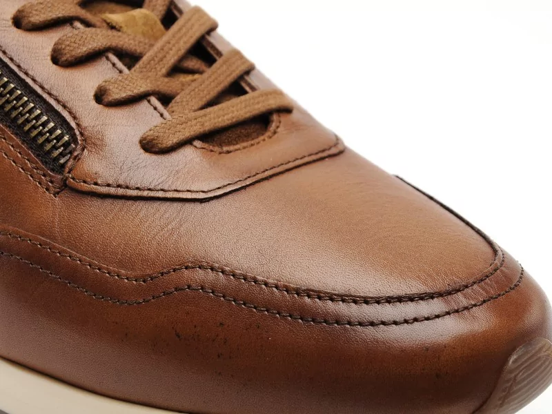 Redskins ASSURE Marron Baskets Basses Homme