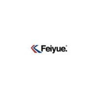 Feiyue